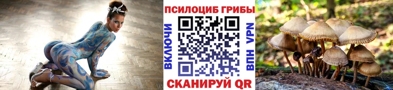 KRAKEN   Озёры  Галлюциногенные грибы Cubensis 